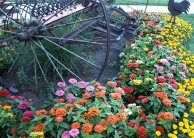 farming flowers